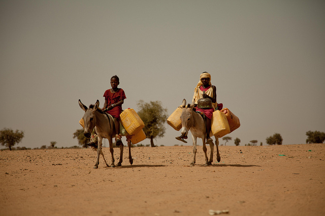 Food Insecurity in the Sahel