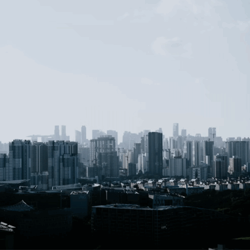 Freedom Cities or Company Towns? Labor and Rights Under a Centrally Planned Urban Regime